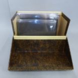 A box with twenty-two glass plate negatives