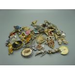 A collection of bird brooches