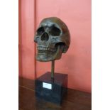 A bronze skull, on black marble plinth