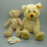 Two Steiff bears, one in suitcase