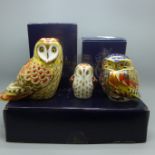 Three Royal Crown Derby Owl paperweights - Short Eared Owl and Owlet, both exclusives for The