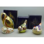 Three Royal Crown Derby bird paperweights, Blue Tit, Goldcrest and Kingfisher, all with gold