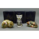 Three Royal Crown Derby paperweights, Grey Kitten, Catnip Kitten and Cottage Garden Kitten, two