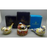 Three Royal Crown Derby bird paperweights, Firecrest, Nesting Chaffinch and Linnet, all limited