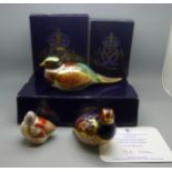 Three Royal Crown Derby bird paperweights, Woodland Pheasant, Green Winged Teal Duckling and