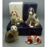 Four Royal Crown Derby paperweights, King Charles Spaniel, Cavalier King Charles Spaniel, puppy