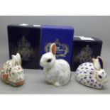 Three Royal Crown Derby Rabbit paperweights, Snowy Rabbit, an exclusive for the Collectors Guild,