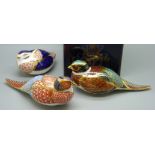 Three Royal Crown Derby game bird paperweights, Woodland Pheasant, an exclusive for the Royal