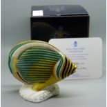 A Royal Crown Derby paperweight, Pinstripe Fish, 9/2,500, red Royal Crown Derby stamp to the base,