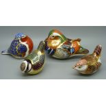 Four Royal Crown Derby paperweights, robin and three other birds, two with gold stoppers