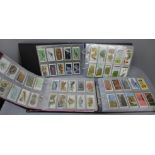 Three albums of tea cards and cigarette cards