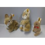 Three Steiff button in ear bunny rabbits, made in Germany