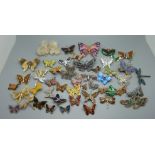 A collection of butterfly brooches