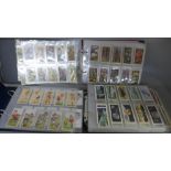 Three albums of cigarette cards