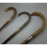 Three walking canes; two with silver handles and one with 18ct gold plated band