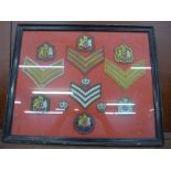 A framed collection of Sergeant stripe cloth badges and crowns including Lance Sergeant and Full