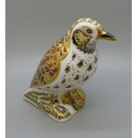 A Royal Crown Derby paperweight, Song Thrush, 11cm, gold stopper and red Royal Crown Derby stamp