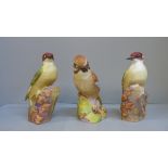 Three Royal Worcester figures, two Woodpecker 3249 and Jay 3248