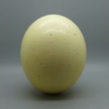 An ostrich egg, approximately 15cm