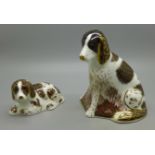 Two Royal Crown Derby dog paperweights, Molly and Scruff Puppy, issued as a matching pair by the