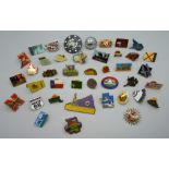 States of America and other pin badges