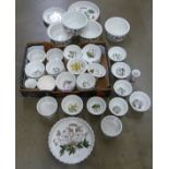 A box of Portmeirion The Botanic Garden bowls, dishes and shell shaped dishes, flan dishes and