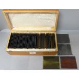 A wooden case of fifty glass plate negatives