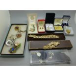 A collection of costume jewellery including brooches, chains, locket, etc.