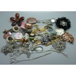 A collection of brooches