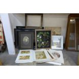 Assorted oil paintings, prints, picture frames, etc.