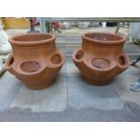 A pair of terracotta strawberry pots