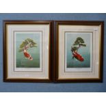 Two signed David Lawrence limited edition Koi carp prints, framed