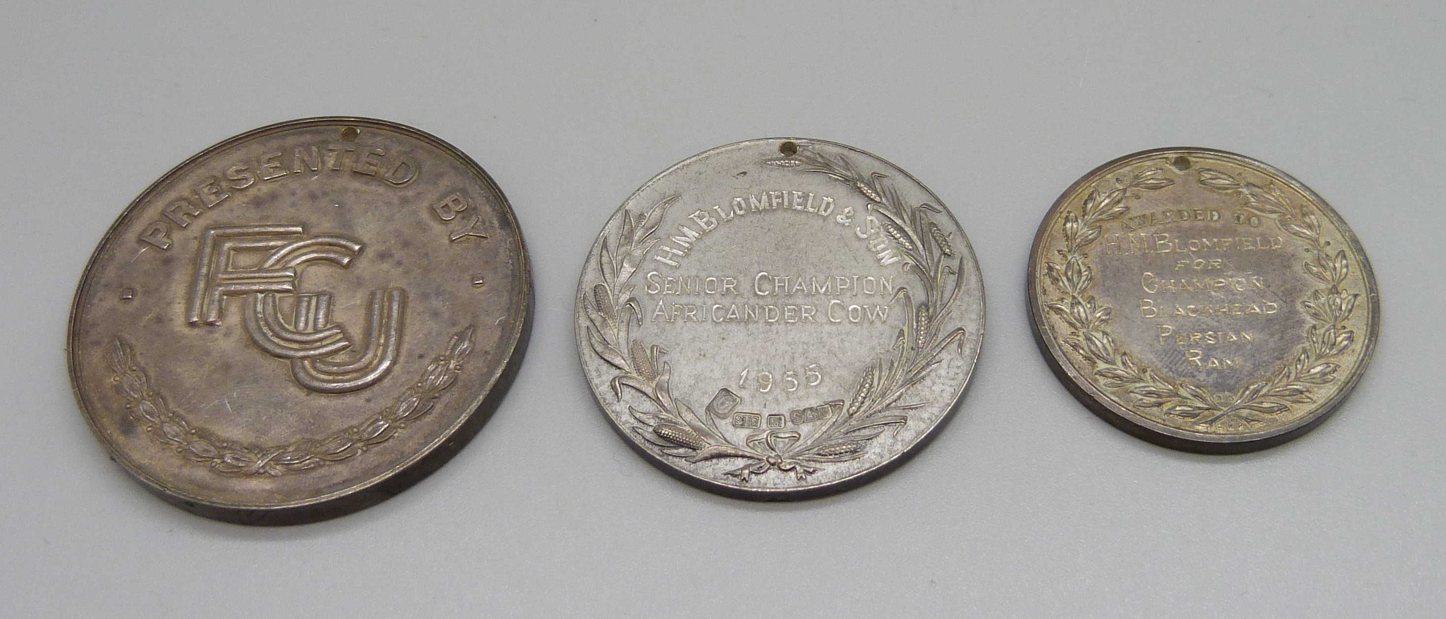 Three silver medallions, 136g