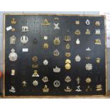 Fifty-one Regimental cap badges and shoulder titles