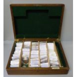 A case of mixed world coins, approximately 200+ coins, sorted into separate countries