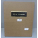 Wild Flowers, Anne Pratt, circa 1860, re-bound