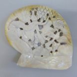 A carved mother of pearl shell dish