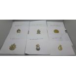 A collection of twenty-five Regimental cap badges, catalogued, in envelopes
