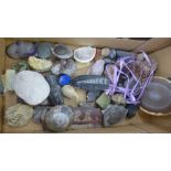 A box of mineral samples and fossils