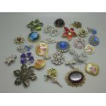 Costume brooches