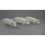 Three Beswick pigs, Champion Wall Queen x2 and Champion Bay