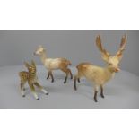 A Beswick stag and doe and a model of a foal