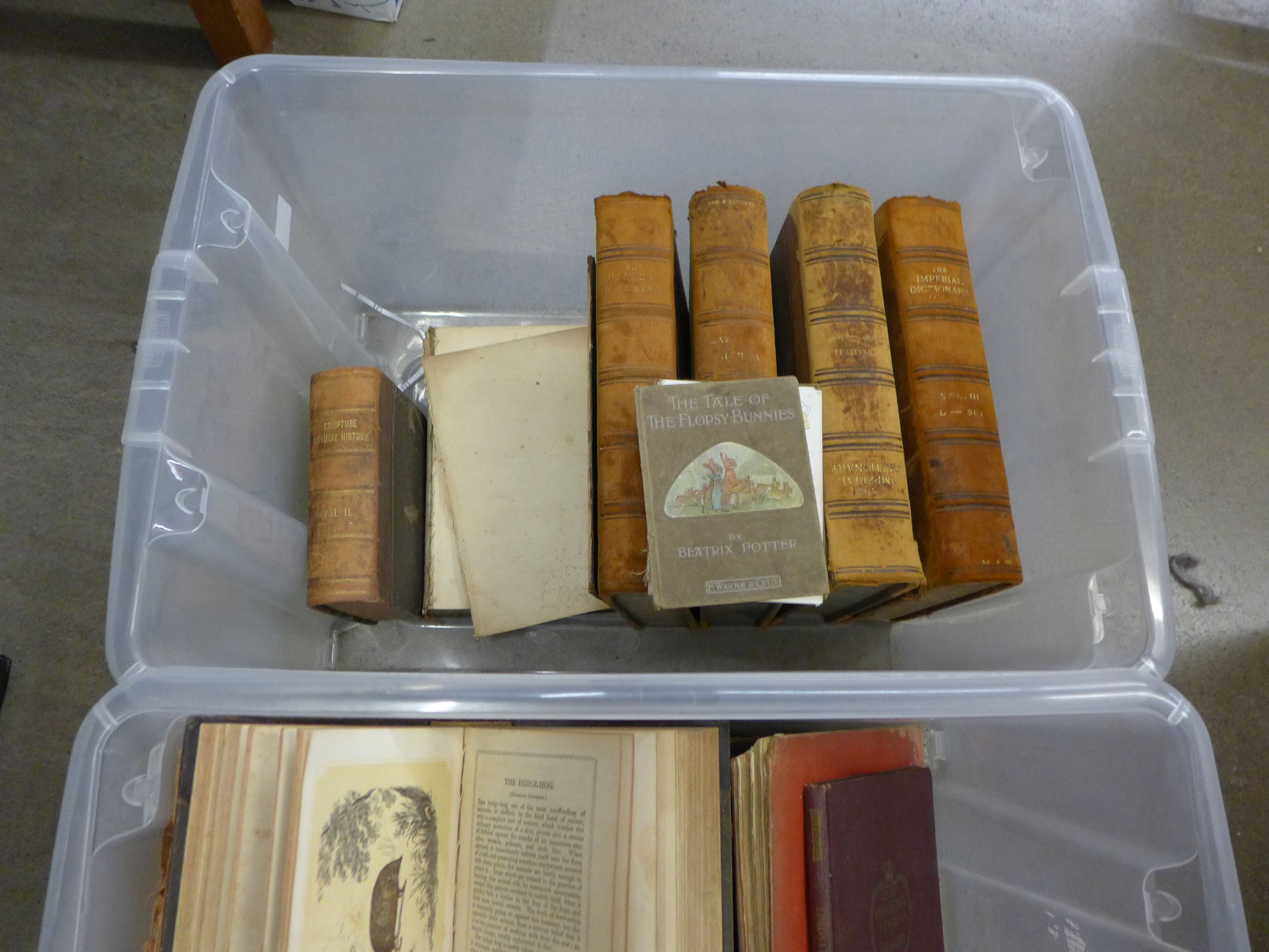 A collection of 19th and 20th Century books including a box of sheet music and song books **PLEASE - Image 3 of 3