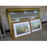 A gilt framed mirror and pair of botanical prints