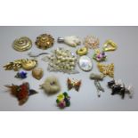 Costume brooches