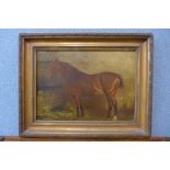 English School (19th Century), horse in a stable, oil on canvas, framed