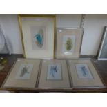 David Mower, five ornithological studies, watercolour, framed