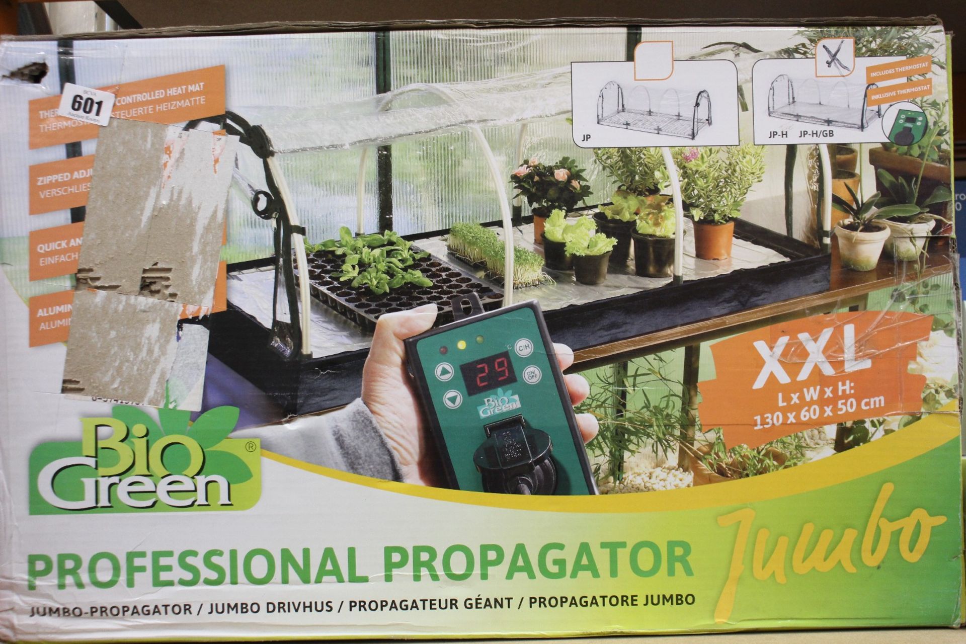 A Bio Green Jumbo Propagator.