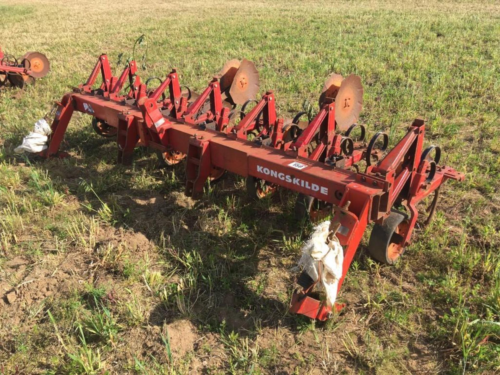 Kongskilde Vibrobeta 6 Row Beet Hoe