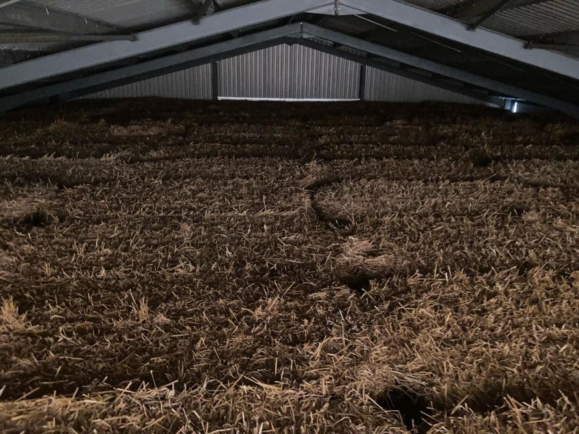 144 Bales of 2021 Wheat Straw - Image 4 of 4